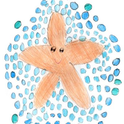 BrailynSchwartz Thumbnail