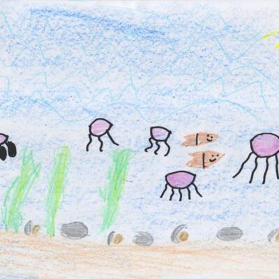 IsabellaRosenthal Thumbnail