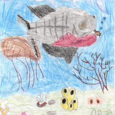 ShirleyFranco Thumbnail