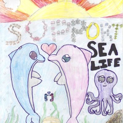 BaileyHanlon Thumbnail