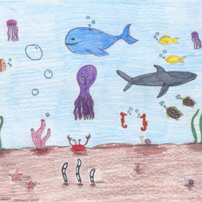 AdrianaCruzAyala Thumbnail