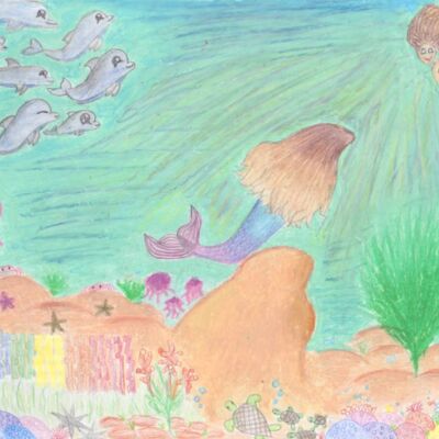 SarahLiedtke Thumbnail